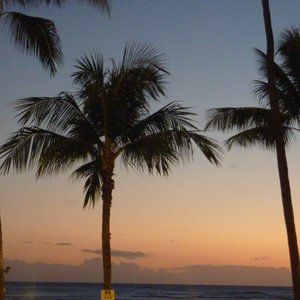 Meet your Posher, Patty